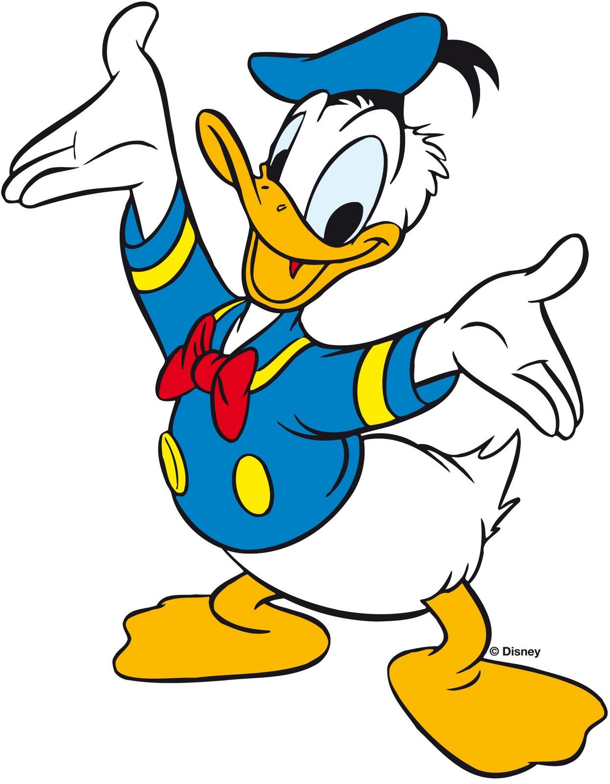 Donald Duck photo